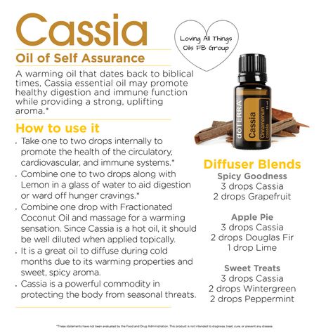 Essential Oil Meanings, Cassia Essential Oil, Young Living Essential Oils Recipes, Roman Chamomile, Young Living Oils, Doterra Oils, Holistic Medicine, Essential Oil Blend, Oil Uses