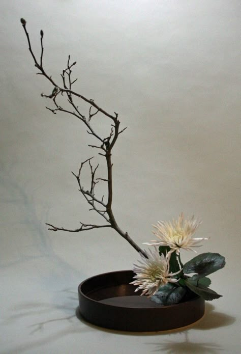 Moribana with white chrysanthemum and tulip magnolia Moribana Floral Arrangements, Ikebana Chrysanthemum, Moribana Ikebana, Ikebana Japanese, Art Floral Japonais, Japanese Floral Design, Tulip Magnolia, Arreglos Ikebana, Japanese Plants