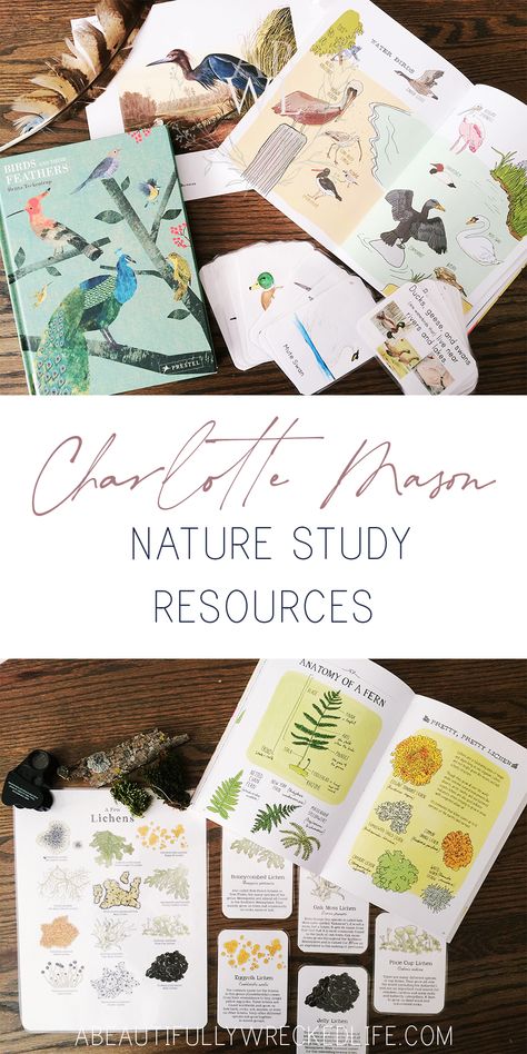 Charlotte Mason Nature Journal, Homeschooling Free Printables, How To Nature Journal, Preschool Nature Journal, Charlotte Mason Printables, Kindergarten Nature Study, Homeschool Nature Journal, Free Charlotte Mason Printables, Homeschool Copywork Free Printable