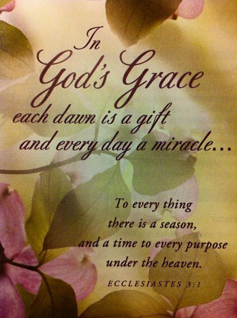 A Course In Miracles, Morning Beautiful, Tuesday Morning, Biblical Quotes, Inspirational Bible Verses, Faith Inspiration, Favorite Bible Verses, God's Grace, Gods Grace