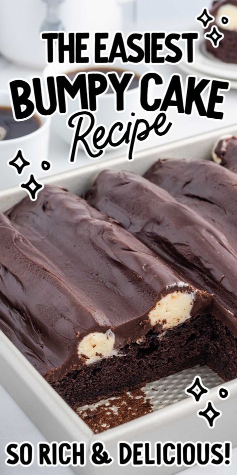 Michigan Bumpy Cake Recipe, Chocolate Bumpy Cake Recipe, Bumpy Cake Cupcakes, Bump Cake Recipe, Sanders Bumpy Cake Recipe, What To Do With Chocolate Cake Mix Boxes, Unique Birthday Cake Recipes, Specialty Cakes Recipes, Wow Cake Recipe