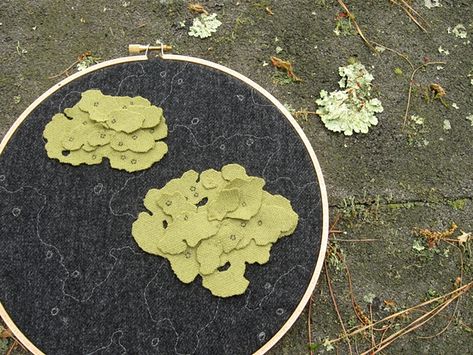 Lichen Embroidery by Chelsea Clarke Lichen Art, Moss Embroidery, Wool Suits, Clay Mushroom, Nerd Crafts, Abstract Embroidery, Boreal Forest, Textile Sculpture, Bio Art