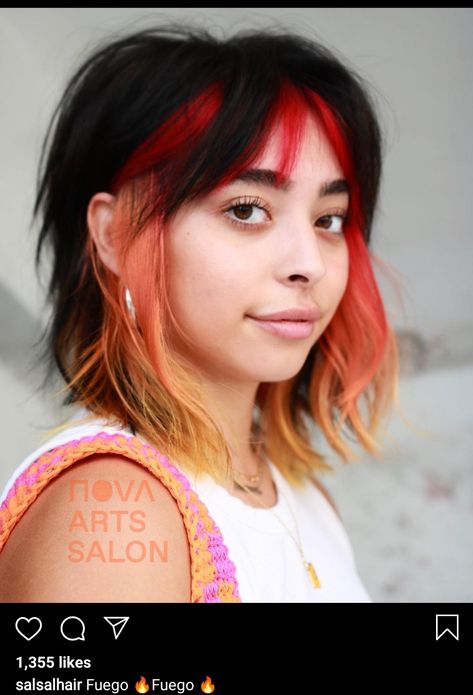 Color Blocked Hair With Bangs, Rainbow Highlights Short Hair, Shag Hair Dye, Half Colored Bangs, Block Colour Hair, Alt Hair Colors, Peekaboo Hair Colors, Color Block Hair, Haircuts 2024