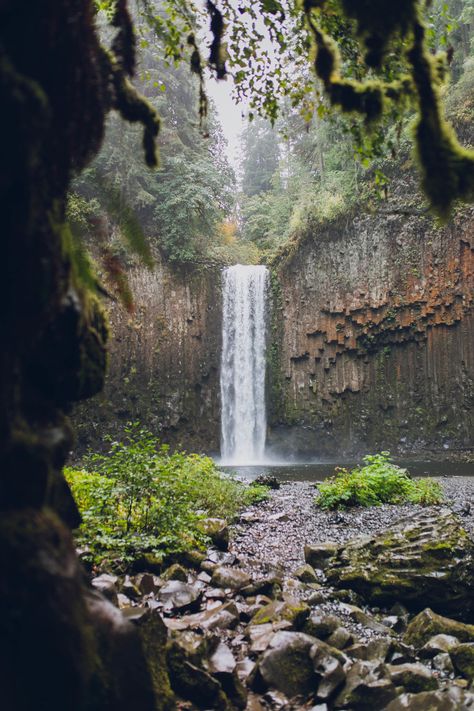 How to Hike Abiqua and Butte Creek Falls in Portland, Oregon — Sarah Ching Photography Abiqua Falls Oregon, Portland Waterfalls, Portland Travel, Marion County, Gravel Road, Willamette Valley, Forest Road, Oregon Travel, California Travel