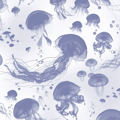 Cute Jellyfish Pfp, Jellyfish Computer Wallpaper, Jellyfish Homescreen Layout, Ocean Themed Homescreen, Jellyfish Laptop Wallpaper, Jellyfish Phone Theme, Jelly Fish Widget, Jellyfish Wallpaper Desktop, Jellyfish Homescreen