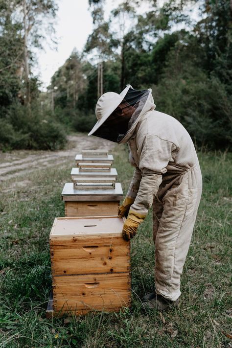 Bee Hive Photography, Bee Keeper Aesthetic, Apiary Aesthetic, Bee Farm Aesthetic, Bee Keeping Aesthetic, Beekeeping Aesthetic, Commune Aesthetic, Honey Bee Photography, Bee Aesthetic