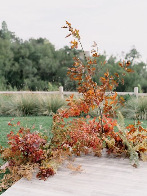 Contemporary Fall Wedding, Fall Ceremony Arch, Flowers Installation, Ventana Big Sur, Wedding Reception Dance Floor, Fall Minis, Floral Arches, Fallen Arches, Floral Installations