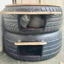 Posted November 20, 2018 The photo below has made the rounds on social media showing how old tires can be made into cat beds for feral cats. The discussion topic for today is whether or not old automobile tires make a safe cat bed for feral cats or should they be avoided. Diy Cat Shelter Outdoor, Tire Cat House Outdoor, Farmhouse Updates, Katt Hus, Outside Cat House, Outdoor Cat Shelter, Feral Cat Shelter, Feral Cat House, Katt Grejer