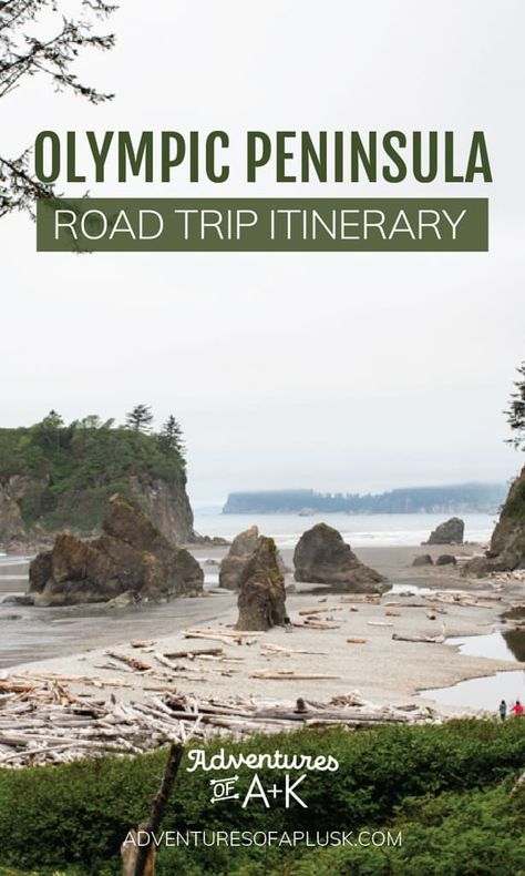 Olympic Peninsula Road Trip Itinerary - Adventures of A+K Olympic National Park Itinerary, Pnw Camping, Pnw Trip, Washington Adventures, Washington Camping, Washington Road Trip, Washington Trip, Seattle Vacation, Rialto Beach