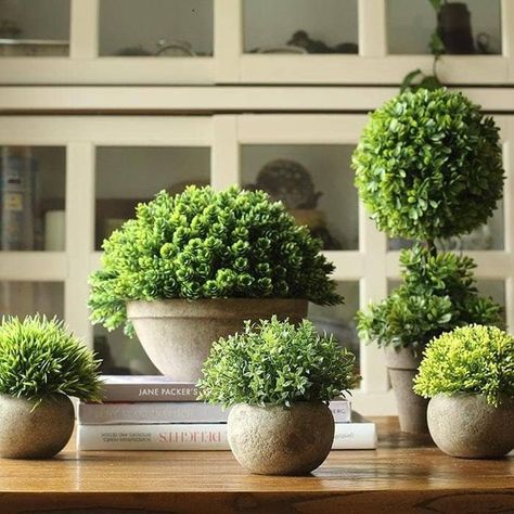 The Best Places To Buy Fake Plants Online Faux Boxwood, Artificial Plant Arrangements, Boxwood Plant, Ginger Lily, Topiary Plants, Artificial Plants Indoor, Boxwood Topiary, Artificial Boxwood, Topiary Trees