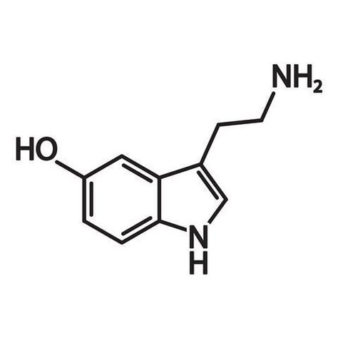 Serotonin Molecule, Wasp Stings, Spanish Fly, Clear Night Sky, Black Writers, Chemical Imbalance, Brain Tissue, Heart Function, Stomach Ache