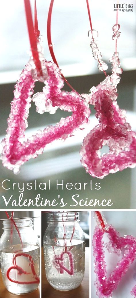 Valentine Science Experiments, Valentine Science, Fun With Science, Science Valentines, Science Experiment For Kids, Growing Crystals, Preschool Science Activities, Experiment For Kids, February Crafts