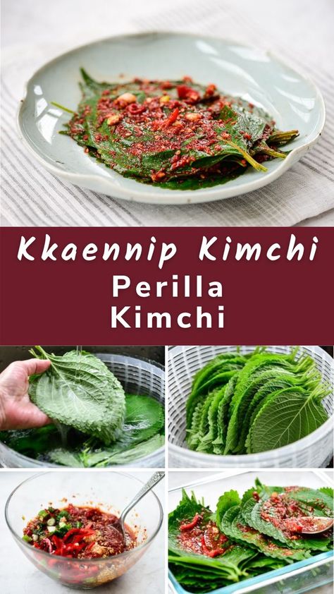 Perilla Leaves Kimchi, Asian Potluck, Korean Bapsang, Kimchi Recipes, Perilla Leaves, Easy Kimchi, Asian Noodle Dishes, Wok Recipes, Asian Side Dishes