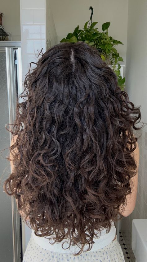 Curly Haircuts Long Layers, V Shaped Haircut With Layers Curly Hair, Long Layers With Curly Hair, 2c Hair Cuts With Layers, 2c Hair Layers, Brown 2c Hair, Long Hair With Layers Curly, Wavy Hair Haircut Layers, 2b Hair Layers