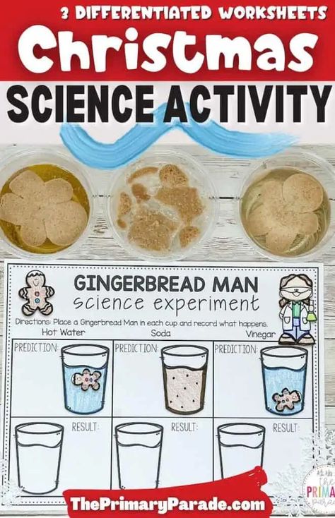 gingerbread cookie science experiment Gingerbread Cookie Science Experiment, Gingerbread Math Activities Preschool, Gingerbread Experiment For Kids, Holiday Science Activities For Kids, Gingerbread Man Science Experiment, Gingerbread Christmas Activities, Gingerbread Science Experiment, Gingerbread Science Preschool, Cookie Science Experiment