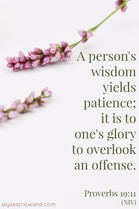 A person's wisdom yields patience; it is to one's glory to overlook an offense. - Proverbs 19:11 Proverbs 19 11, Proverbs 12:16 Scriptures, Christian Mentoring, Proverbs 6:20-23, Proverbs 9:10 Wisdom, Proverbs 6:16-19, Proverbs 24:13-14, Behavior Goals, Proverbs 19