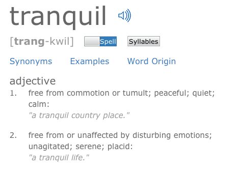 Definition of Tranquil Tranquility Definition, Word Origins, Word Nerd, Word Art, Tattoo Ideas, Meant To Be, Quick Saves, Art