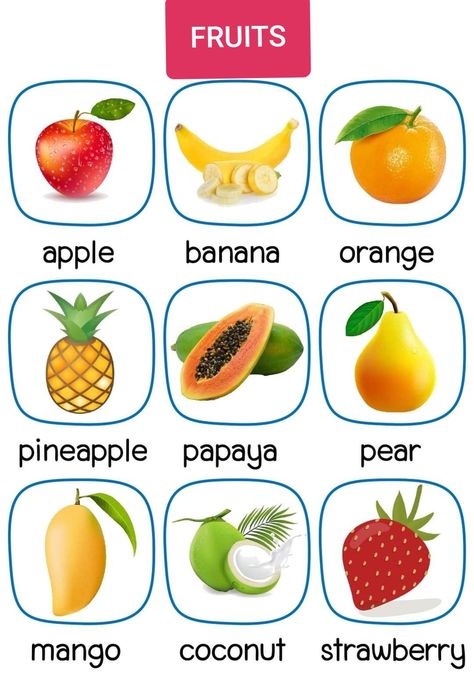 Fruits #fruits vocabulary # fruits name Materi Bahasa Inggris, English Learning Books, English Activities For Kids, Kids Worksheets Preschool, Learning English For Kids, English Phonics, English Worksheets For Kids, Flashcards For Kids, Kids English