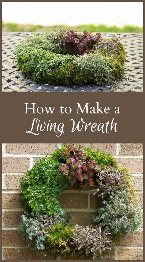 Cactus Arrangement, Living Wreath, Moss Wreath, Plant Crafts, Garden Vines, Succulent Wreath, Outdoor Wreaths, Garden Crafts Diy, Diy Outdoor Decor