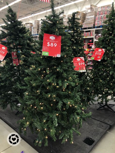 Walmart Christmas Tree, Walmart Christmas Decor, Walmart Christmas Trees, Christmas Tree Shopping, Christmas Trees For Sale, Walmart Christmas, Christmas Tree Store, Christmas Tree Sale, Christmas Tree Shop