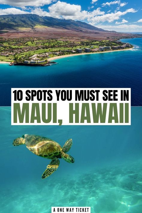 Maui Hawaii Honeymoon, Kaanapali Maui, Hawaii Trip Planning, Hawaii Vacation Tips, Maui Itinerary, Hawaii Itinerary, Maui Hawaii Vacation, Hawaii Aesthetic, Hawaii Things To Do