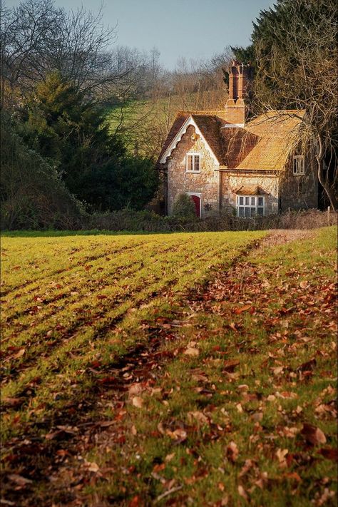 Home / X Woman Bedroom Ideas, Grown Woman Bedroom Ideas, Cozy English Cottage, Cottage Core House, British Cottage, Grandma Chic, Cottage Aesthetic, Quaint Cottage, Dream Cottage