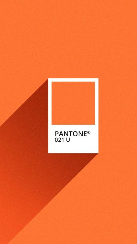 COLOR OF THE MONTH | Cosy up with Pumpkin Orange Pantone Orange, Orange Outfits, Visuell Identitet, Orange Palette, Orange Color Palettes, 그림 낙서, Orange Interior, Orange Walls, Rainbow Aesthetic