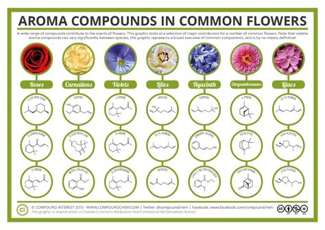 The Chemical Compounds Behind the Smell of Flowers Chemistry Classroom, Teaching Chemistry, Compound Interest, Chemical Structure, Science Chemistry, Valentines Flowers, Organic Chemistry, Biochemistry, Different Flowers