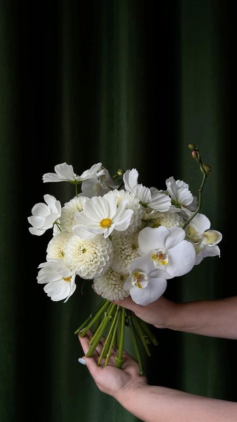 White Dahlia Bouquet, Orchid Bouquet Wedding, Simple Wedding Bouquets, Cascading Bridal Bouquets, Dahlia Bouquet, Orchid Bouquet, Orchid Wedding, White Wedding Bouquets, White Wedding Flowers