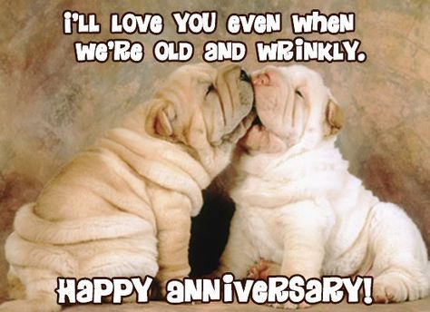 Anniversary Status, Happy Anniversary Funny, Happy Anniversary To My Husband, Anniversary Quotes For Couple, Anniversary Quotes For Husband, Anniversary Poems, Month Anniversary, Birthday Wishes For Wife, Anniversary Quotes Funny