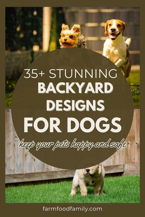 35+ Backyard Landscaping Ideas for Dogs 58 Dog Friendly Sloped Backyard, At Home Dog Park, Dog Backyard Ideas Landscaping, Backyard Ideas With Dogs, Zero Scape Landscaping Backyard For Dogs, Dog Proof Backyard Landscaping, Backyard Dog Park, Dog Backyard Ideas, Dog Garden Ideas