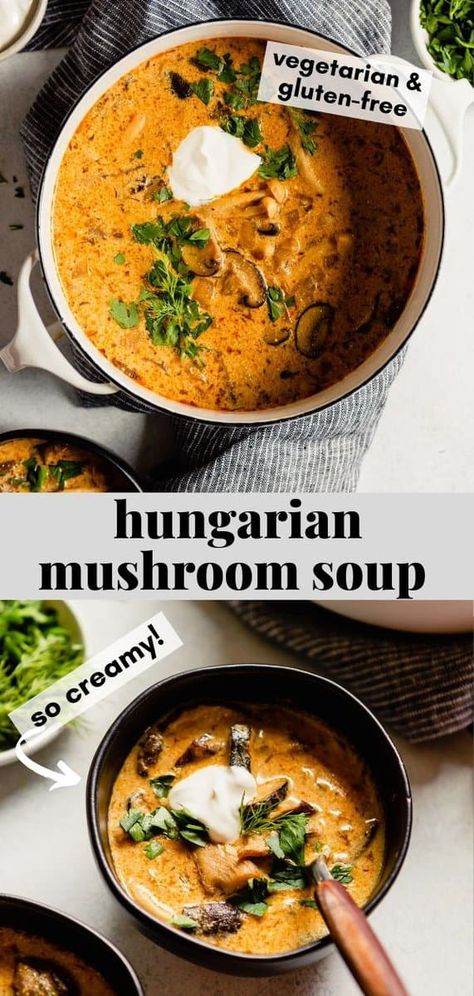 This Hungarian Mushroom Soup is full of flavor, creamy and so cozy. Among the mushrooms and dash of soy sauce—which add TONS of umami flavor—this soup is flavored with paprika, dill and sour cream. Serve with crusty bread for a soul-warming supper. | Zestful Kitchen #hungarianmushroomsoup #creamysoup #mushroomsoup #vegetariansoup #vegetarianmushroomsoup Hungarian Mushroom Soup Authentic, Creamy Hungarian Mushroom Soup, Hungarian Mushroom Soup Recipe, Mixed Mushroom Recipes, Mushroom Onion Soup, Mushrooms Soup, Best Mushroom Soup, Hungarian Mushroom, Hungarian Mushroom Soup