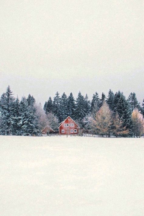 Wintery Scene Wallpaper, Winter Schnee, Winter Inspiration, Winter Love, Red House, Into The Wild, Winter Wonder, Red Barn, Winter Aesthetic