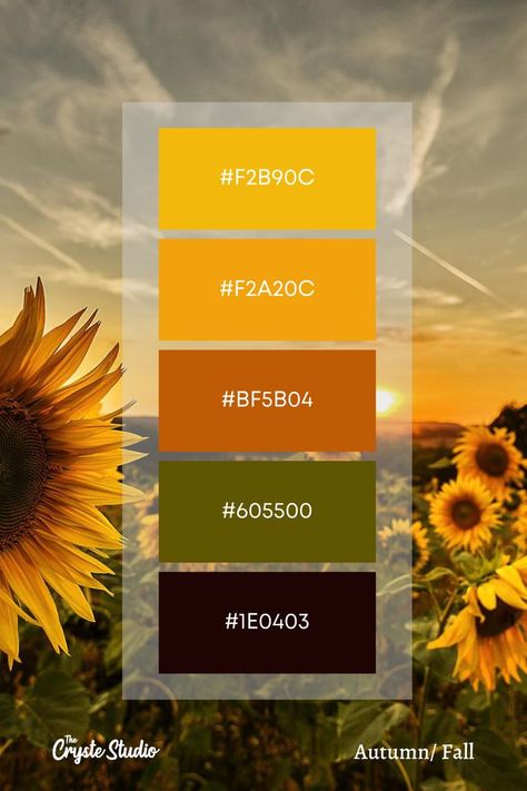 Autumn Color Palette, Fall Wedding Color Schemes, Graphic Shapes Design, Create Color Palette, Fall Palette, Sunflower Colors, Hex Color Palette, Palette Design, Business Colors