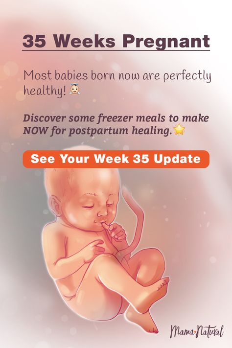 See what's up with baby, mama, and more when you're 35 weeks pregnant. The ultimate week by week natural pregnancy guide! Learn everything from pregnancy symptoms, development, learn to track your baby's growth and natural remedies for a healthy pregnancy. Click to find a complete timeline from the first trimester, second trimester, third trimester with tips for mom and baby to prepare them for a natural birth.   #naturalpregnancy #pregnancytips #naturalbirth 34 Week Pregnancy, Pregnancy Symptoms By Week, Baby Development In Womb, Stages Of Baby Development, Baby Development Milestones, Pregnant Life, 35 Weeks Pregnant, Baby Development Activities, Baby Weeks