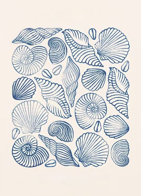 Seashell Design Drawing, Sea Oats Painting, Jellyfish Design Illustration, Seashell Graphic Design, Drawing Of Shells, Seashell Art Drawing, Printmaking Art Ideas, Fossil Sketch, White Board Aesthetic