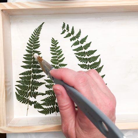 pressed fern and resin plaque Pressed Fern Art, Resin Plaque, Fern Wall, Fern Wall Art, Pressed Fern, Nature Journaling, Diy Wall Painting, Pressed Flower Art, Diy Crafts Hacks