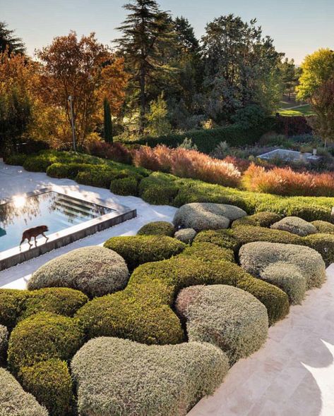 Spanish Garden, Garden Hedges, Landscape Architecture Design, Garden Landscape Design, Plant Design, Architectural Digest, Outdoor Design, Modern Garden, Japanese Garden