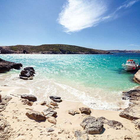 With over 300 days of sunshine a year, Malta’s the perfect destination for sun-worshippers. Pay less for your holidays in St Pauls by calling 0800 4840310 Malta Comino, Malta Beaches, Maltese Islands, Fauna Marina, Malta Travel, Celebrity Cruises, Norwegian Cruise Line, Island Holiday, Princess Cruises