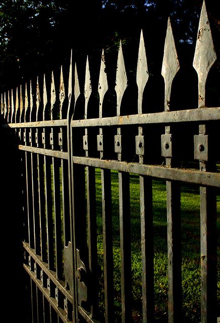 Gothic Masterpiece - From its heavy-duty construction to its latch and spear… Gothic Fence, Fence Trees, Easy Fence, Dark Garden, Fence Planters, Black Fence, Green Fence, Garden Fence Panels, Yard Fence