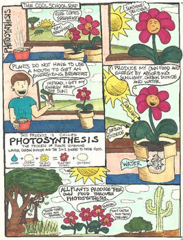 Photosynthesis Comic Comic Strip About Photosynthesis, Photosynthesis Comic Strip, Process Of Photosynthesis, School Comics, Apologia Biology, Energy From The Sun, Plant Biology, Photosynthesis And Cellular Respiration, Science Comics