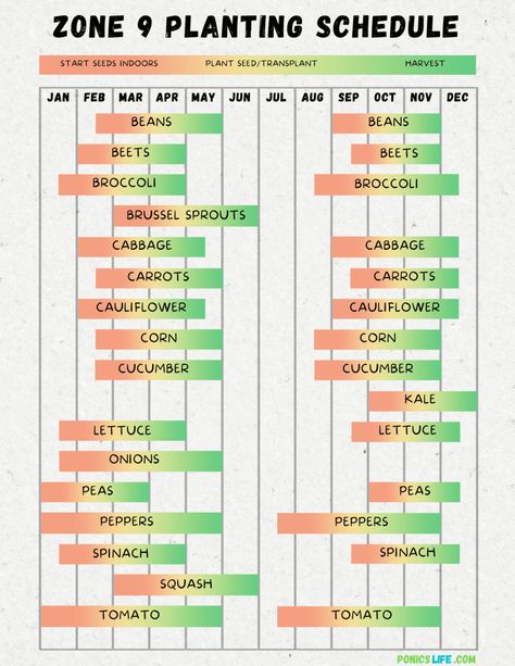 Zone 9 Planting Schedule, Aeroponics Diy, Zone 9 Gardening, Vegetable Planting Calendar, Planting Schedule, Gardening Calendar, Home Hydroponics, Vegetable Planting Guide, Vegetable Planting