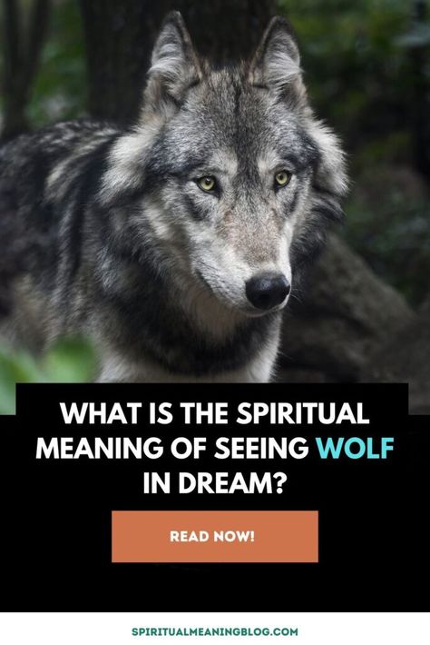 Unveiling the Spiritual Meaning of Seeing a Wolf in a Dream: Witnessing a wolf in a dream can carry profound spiritual significance, with various interpretations stemming from diverse cultural beliefs and personal perspectives. These spiritual messages embedded in such a vision can range from symbolic self-reflection to the embodiment of knowledge and protection. The Wolf: ... Read more The post What is the Spiritual Meaning of Seeing Wolf in Dream? appeared first on Spiritual Meaning Blog. Wolf Spirit Guide, Wolf Knowledge, Wolf Spiritual Meaning, Spiritual Meaning Of Foxes, Wolf Meaning, Islamic Dream Interpretation, Repressed Anger, Wolf With Blue Eyes, Interpersonal Conflict