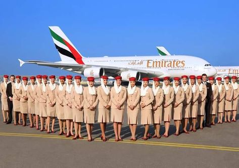 In case you didn't know, Emirates has a team of over 23,000 Flight Attendants who come from over 135 countries, and speak more than 60 languages. #HappySunday Emirates Airline Cabin Crew, Cabin Crew Jobs, Emirates Flights, Emirates Cabin Crew, Airline Cabin Crew, Crew Team, Flight Status, Manchester Airport, Dubai Aesthetic