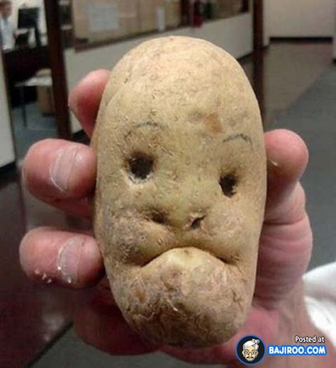 Funny Potato That May Bring A Smile On Your Boring Face Potato