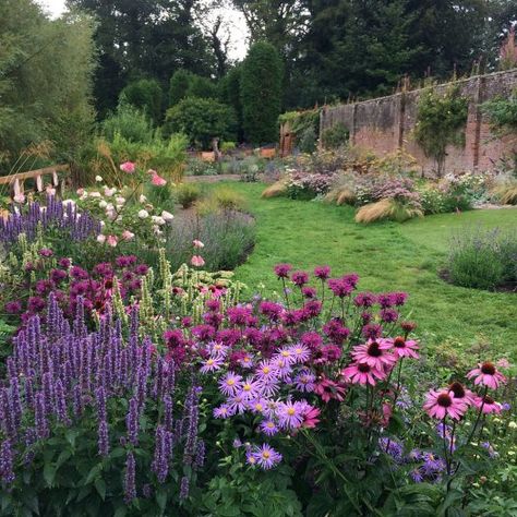 Howick Hall’s Sensory Garden – Susan Rushton Sensory Garden, Cottage Garden Design, Garden Borders, Perennial Garden, Gorgeous Gardens, English Garden, Front Garden, Dream Garden, Garden Planning