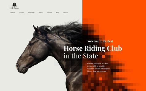 Elite Breed - Equestrian & Horse Riding Club WordPress Theme Bull Rider, Blog Writing Tips, Sports Templates, Horse Riding Equestrian, Free Horses, Horse Training, Web Templates, Horse Farms, Logo Collection