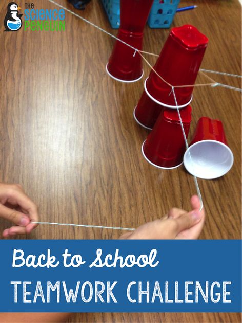 Back to School Teamwork Activity: cup stacking challenge! Ffa Projects, Permainan Kerjasama Tim, Teamwork Games, Teamwork Activities, The Science Penguin, Building Games For Kids, Fun Team Building Activities, Science Penguin, Team Building Games