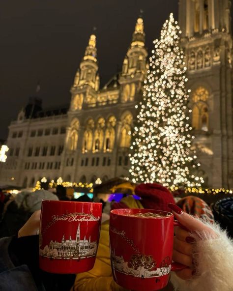 December In Vienna, Vienna During Christmas, Switzerland Christmas Aesthetic, Christmas In Austria, Christmas In Europe Aesthetic, Vienna In December, Austria Christmas Markets, Vienna At Christmas, Europe Christmas Aesthetic