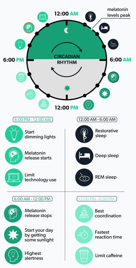 The sleep cycle is divided into five distinct stages of sleep and each of these stages has its own effects on the body. Learn more. 10 3 2 1 0 Sleep Rule, Sleep Cycle Chart, Psychology Journal, Rem Sleep Cycle, Sleep Inertia, Health Illustration, Sleep Chart, Sleep Phases, Skin Diet